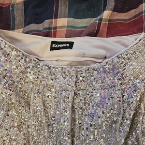 Express Sequin Trousers in Silver and Gold